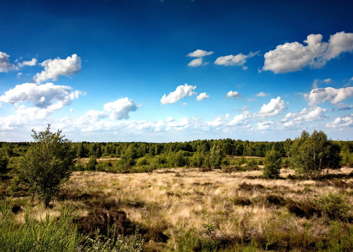 {一个文明古国与世界的温柔告别}，2008闭幕式，焰火散尽后的北京 X 98