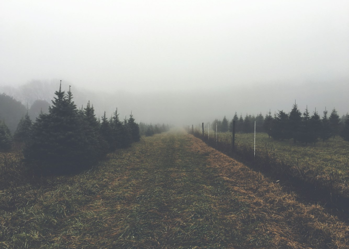 黑龙江今天最新疫情情况(黑龙江今天最新疫情) 黑龙江今天最新疫情情况(黑龙江今天最新疫情)