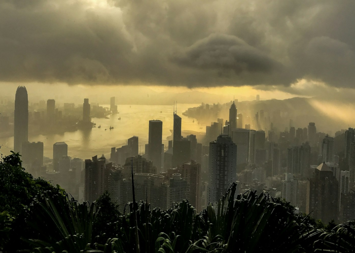 31省新增23例确诊其中本土1例,31省新增23例确诊 本土1例