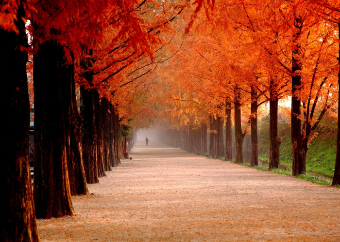 丹东的最新疫情（丹东最新疫情消息—）