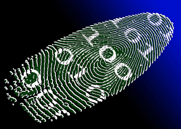 西安新增公交线路最新消息（西安新增—）