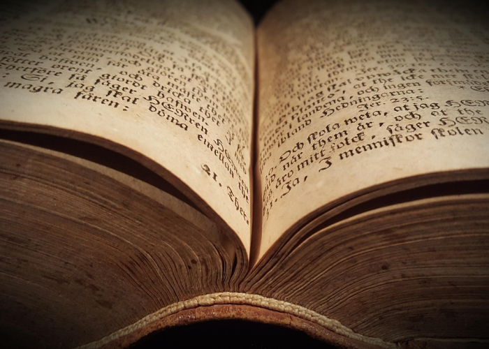 一座城区的韧性试炼与治理启示，丰台疫情 W