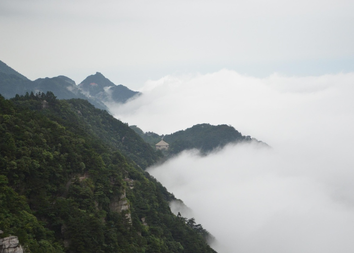 🎎 广东新增本土确诊5例 → 广东新增本土确诊2例!