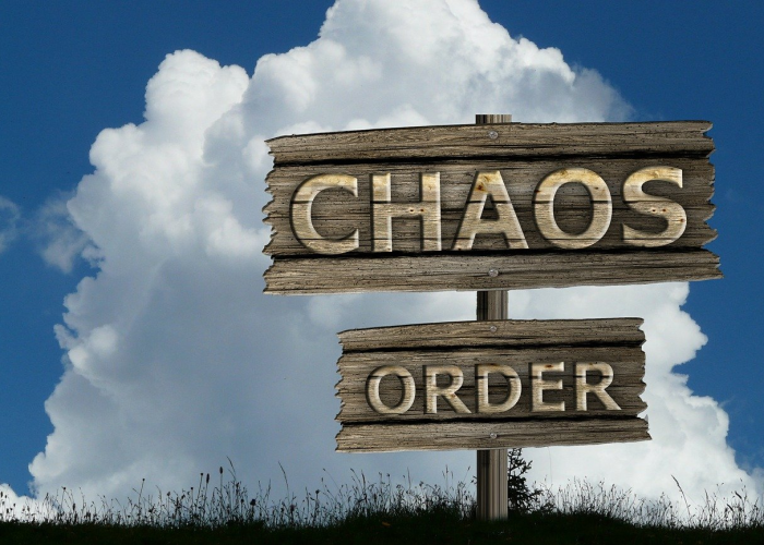 🎏 甘肃新增本土确诊5例、无症状36例：甘肃新增5例本土确诊病例