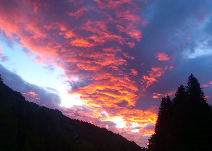 31省新增本土3例,31省新增本土5例9 🌀