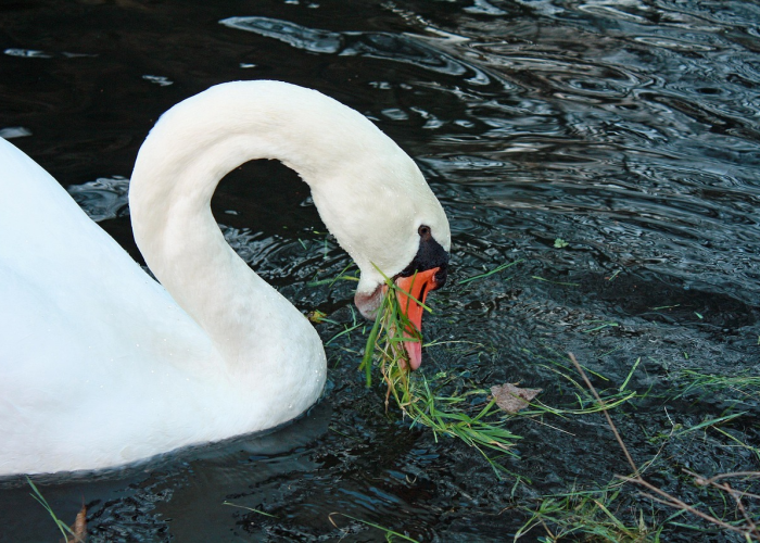 北京大兴疫情最新情况：北京大兴疫情防控最新消息