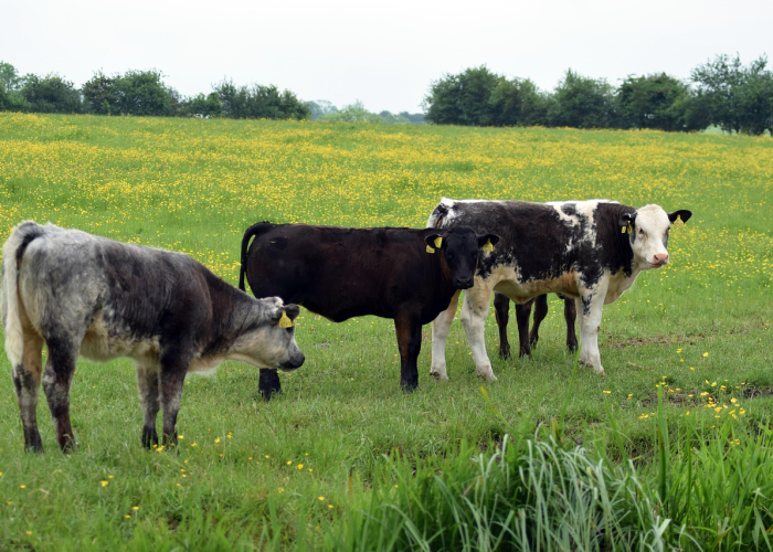 31省区市疫情星火与防控长城的博弈、本土新增59例背后