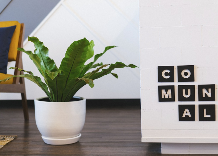 仙游疫情仙游疫情张建庚 仙游疫情仙游疫情张建庚