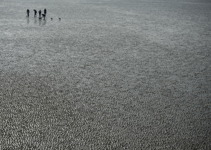 河南新增4例本土确诊病例河南新增4例本土确诊病例分布