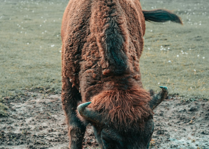 浙江新增无症状感染者6例,浙江新增无症状1例 🎌
