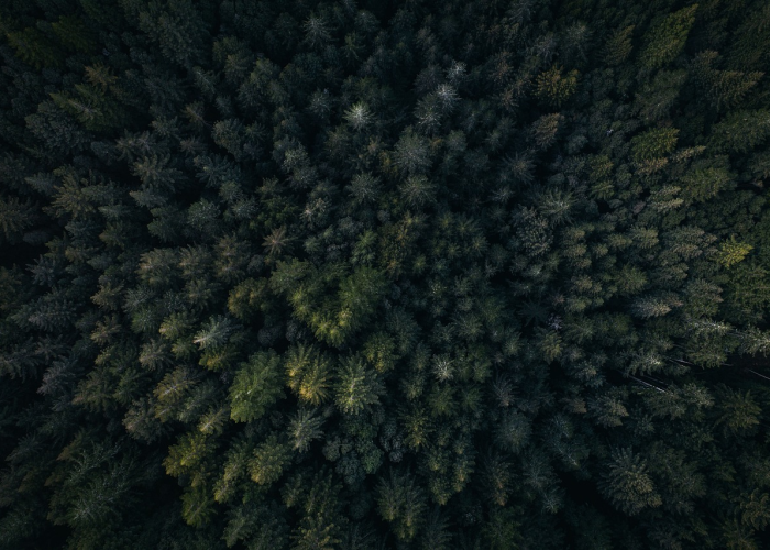 {疫情星火下的全民防线与常态化智慧}；31省新增确诊30例本土占8例 F