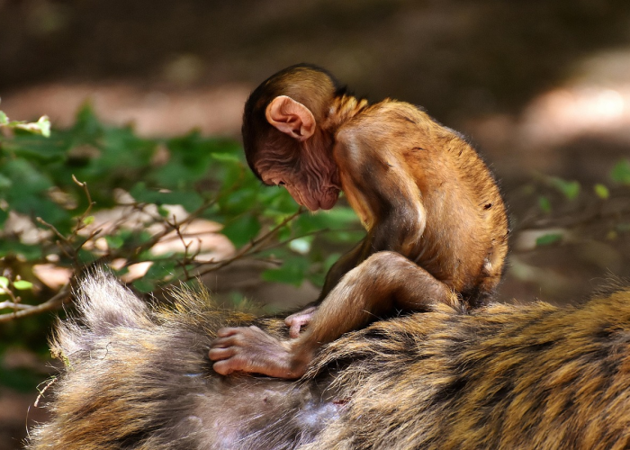 巨额备货成战略资产，雷神科技锚定双轮增长新机遇