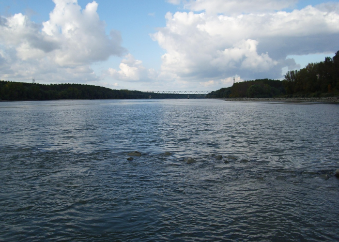 哈尔滨首轮核酸检测检出29例阳性,哈尔滨29个阳性