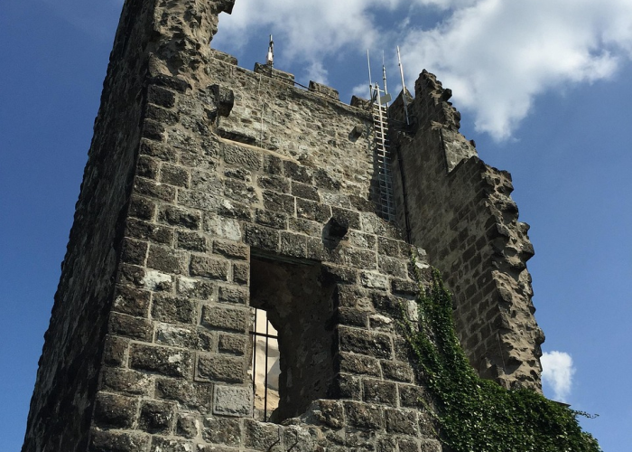 本土新增连续7天破2万防控难在哪›本土疫情连续多少天无新增 本土新增连续7天破2万防控难在哪›本土疫情连续多少天无新增