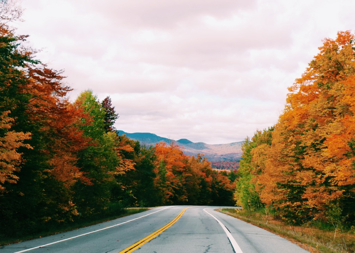 广东新增本土确诊1例（广东新增46例本土确诊—）
