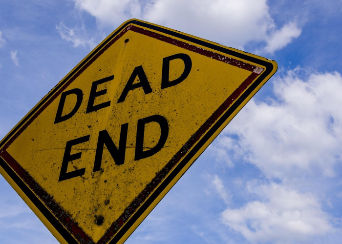 大连新增 → 大连新增海洋主题彩绘大道