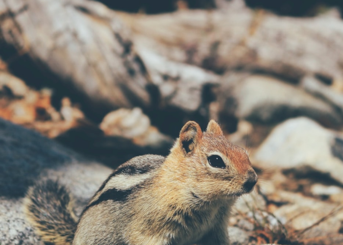 31省区市新增37例本土确诊 → 31省区市新增62例本土确 ↖️