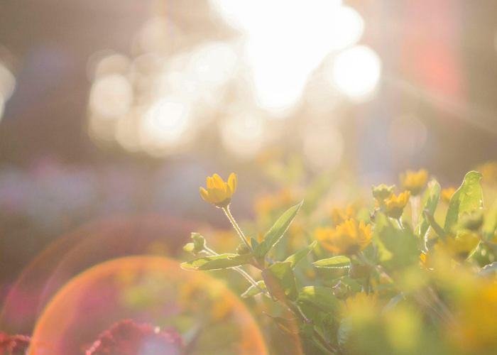 {精准防控下的城市韧性与民生温度}，郑州疫情最新报道
