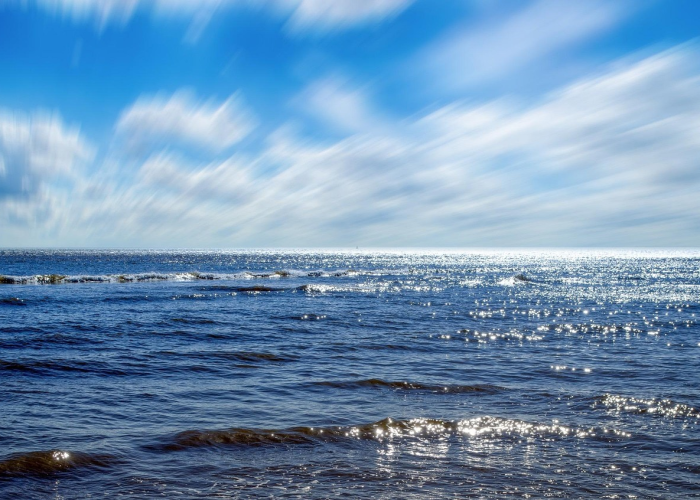 T 大兴与顺义为何无关联?,(北京两轮疫情独立溯源) T 大兴与顺义为何无关联?,(北京两轮疫情独立溯源)