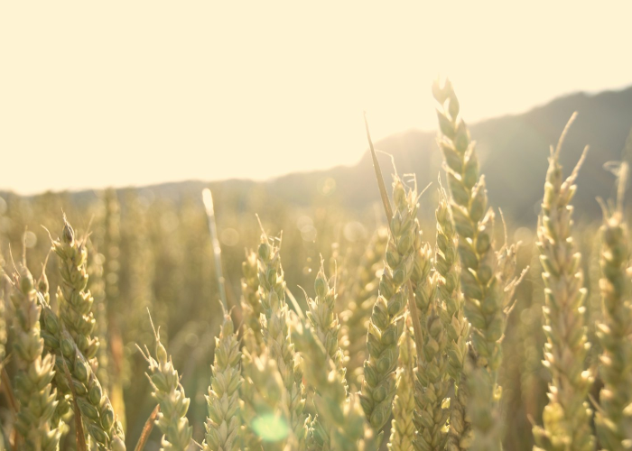 31省新增确诊11例其中本土2例31省新增确诊11例 其中本土2例