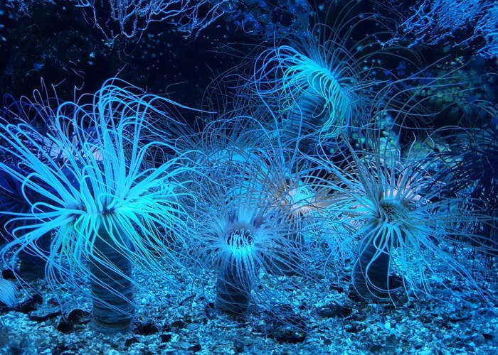 是十四亿人的呼吸与共，数字背后，31省份新增本土73例 L 79